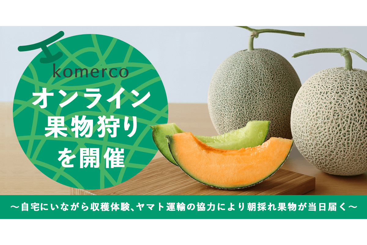 クックパッド オンライン果物狩り をkomercoで実施 第1回は茨城県のメロン農家と連携 グルメ Watch