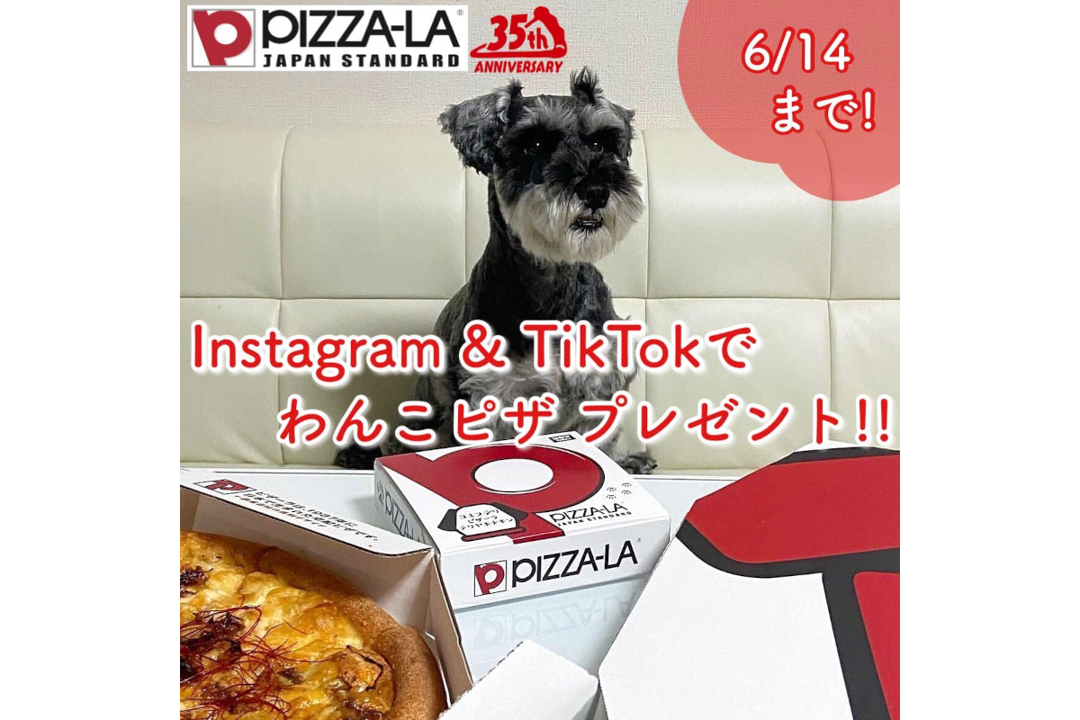ピザーラ35周年記念、愛犬と楽しめる「わんこピザ テリヤキチキン」が