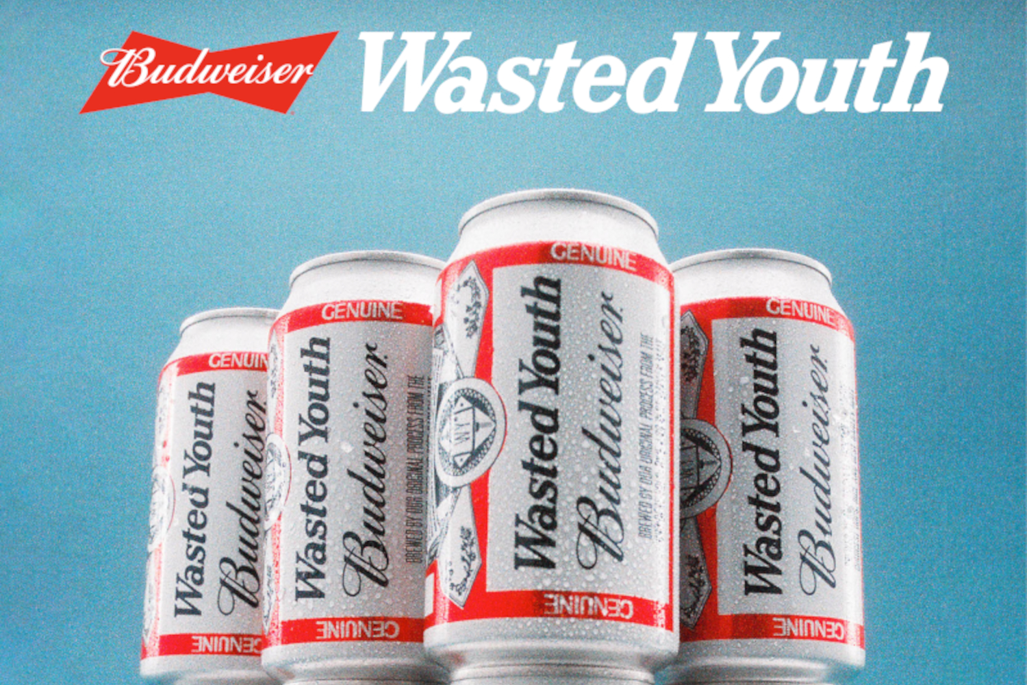 Budweiser Wasted Youth VERDY ビール　6缶