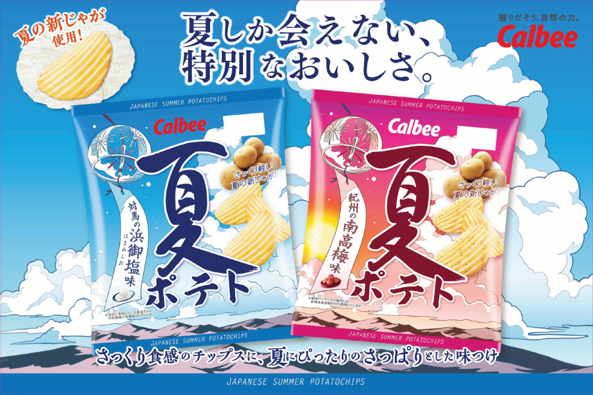 カルビー とれたて国産新じゃがのみ使用 夏ポテト 対馬の浜御塩味 紀州の南高梅味 グルメ Watch