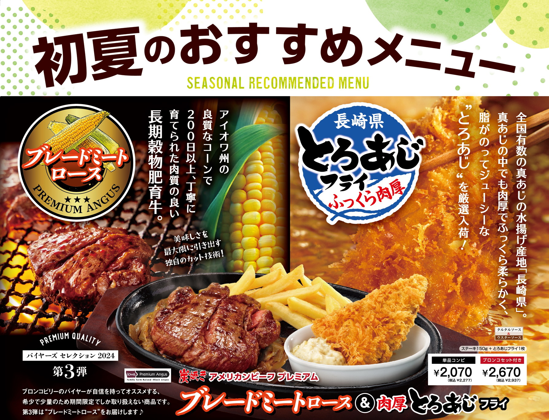 アメリカンビーフ エプロン 10枚 ★非売品★ 01.jpg