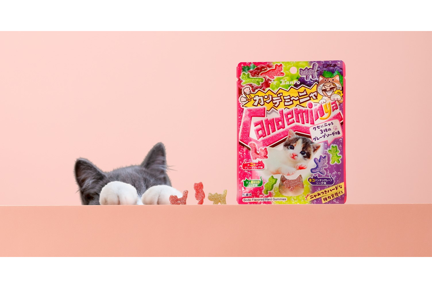 じゃれねこ『3月☆ラッキーセット12』