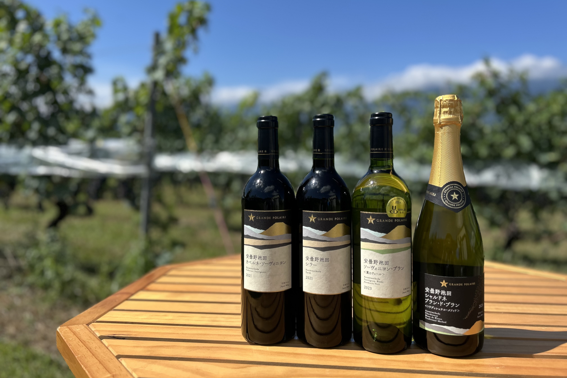 グランポレール・メリタージュ2021 セラー保管 グランポレール・メリタージュ2021 セラー保管 グランポレール